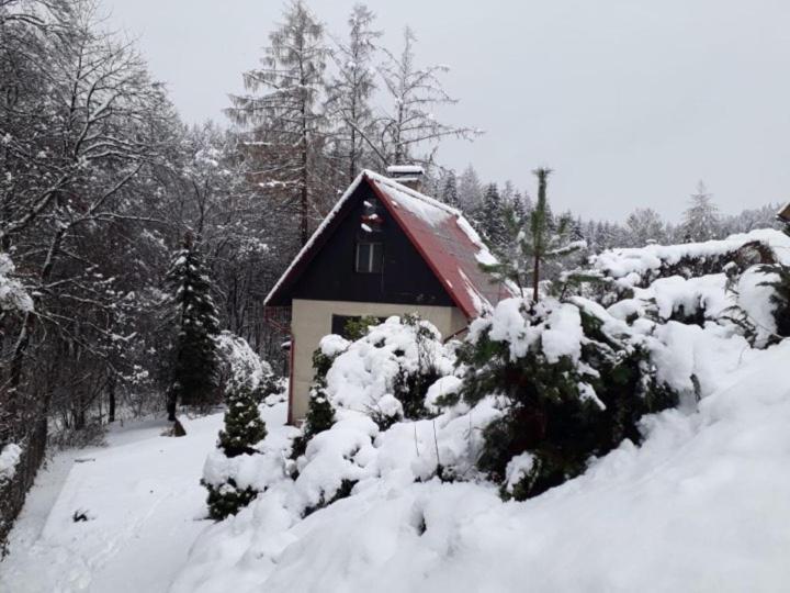 Chata U Koupaliste Chřibská Esterno foto